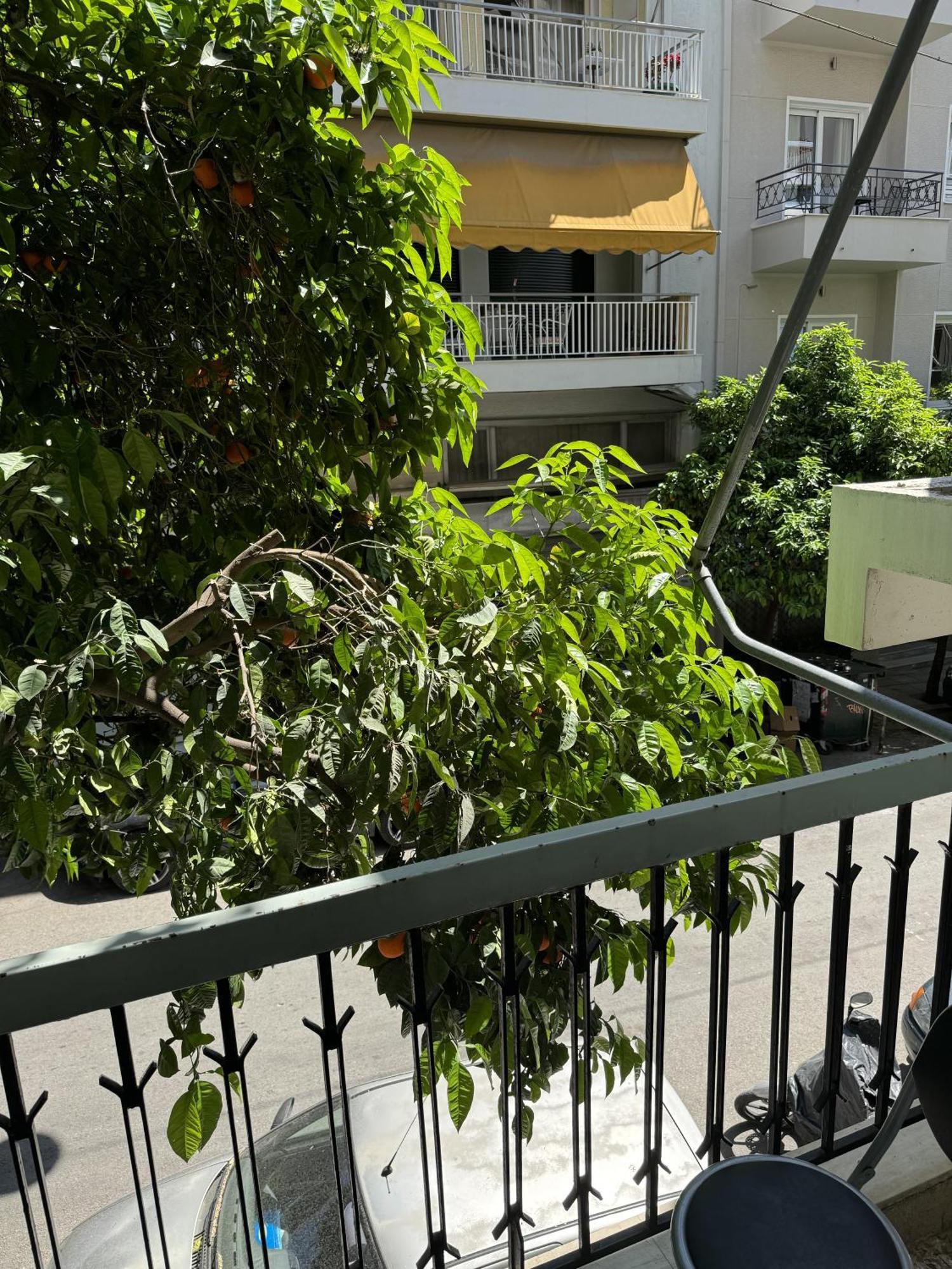 Cozy Apt Next To Acropolis アテネ エクステリア 写真